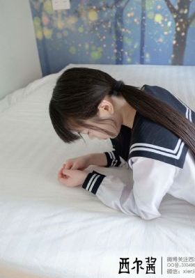 文豪野犬第一季全集免费观看下载