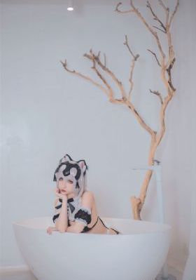 空姐一级片